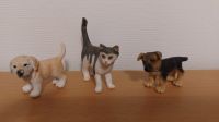 Schleich 13638 Katze, 16343 Schäferhund, 16378 Golden Retriever Baden-Württemberg - Löwenstein Vorschau