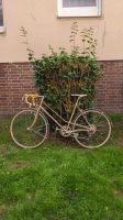 Vintage Rennrad Condor Essen - Essen-Kettwig Vorschau