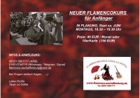 Flamenco-TANZ   Anfängerkurs Bayern - Aschaffenburg Vorschau