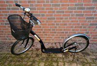 Roller Groß Cityroller Bike2Go ! Tretroller für Erwachsene/Kinder Münster (Westfalen) - Nienberge Vorschau