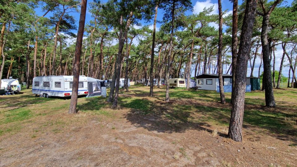 Ferienwohnungen - Naturcamping Rügen Pritzwald in Zudar