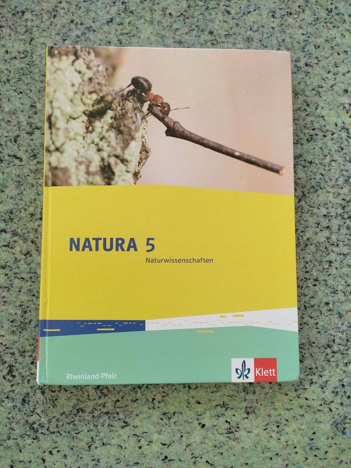 Natura 5 von Klett in Daubach