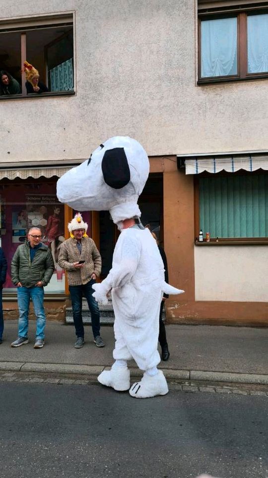 Peanuts Gruppenkostüme Gruppen Kostüme Karneval Fasching in Frammersbach