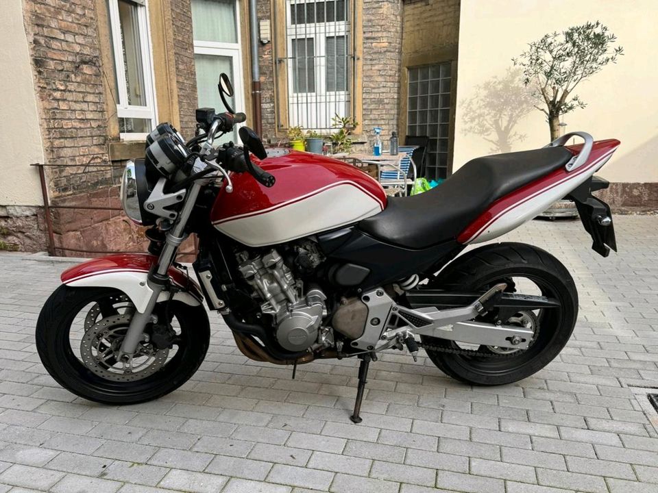 Honda Hornet CB 600 F, Naked Bike mit schickem Lack in Karlsruhe