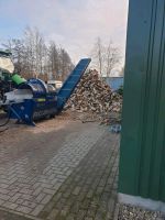 Sägespaltautomat Brennholz Feuerholz Stammholz Niedersachsen - Ottersberg Vorschau