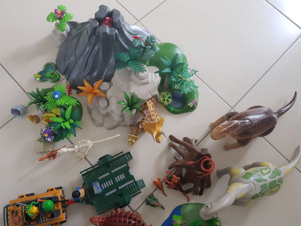 Playmobil Dinosaurier in Bad Soden am Taunus