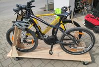 Fahrradständer mit Rollen Baden-Württemberg - Laupheim Vorschau