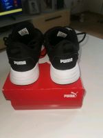 Puma sport Schuhe original topGr38 Dortmund - Scharnhorst Vorschau