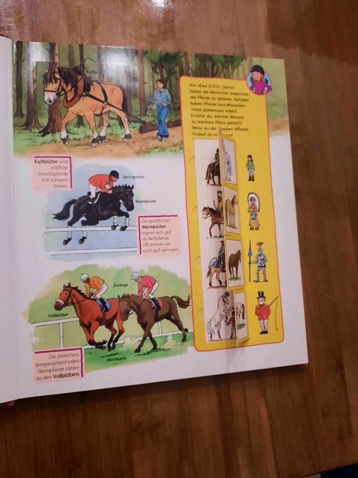 Pferde und Ponys - mit 40 Klappen - Klnder Wissen in Senden