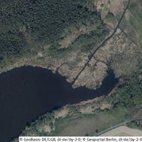 IMMOBERLIN.DE - Großes Grundstück mit 60 Meter Uferlinie für forstwirtschaftliche Zwecke am Schwielochsee Brandenburg - Friedland (Mark) Vorschau