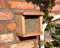 Die Bienen-Batterie. Das Insektenhotel. Nordfriesland - Oldenswort Vorschau