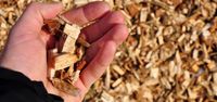 Baumfällung Häcksel arbeiten Grünschnitt Entsorgung Wurzel entfer Nordrhein-Westfalen - Neuss Vorschau