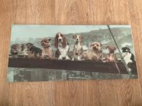 Leinwand Holzbild Hund 3D Bild Dekobild Tiere Tierbild Hund 49x23 Rostock - Südstadt Vorschau