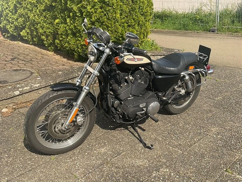 Harley Davidson XL1200R Sportster in Krauchenwies