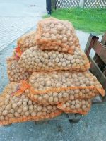 Unbehandelte Saatkartoffeln /Pflanzkartoffeln Sachsen - Gelenau Vorschau