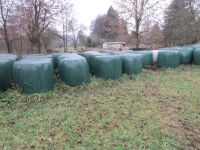 Silage in Rundballen, Siloballen, Grassilage, Kleegras Hessen - Allendorf Vorschau