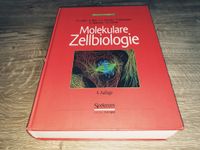 Molekulare Zellbiologie auf 1251 Seiten, 4. Auflage Bayern - Augsburg Vorschau