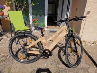 MyEsel E Cross Pro Komfort Plus + 540 Wh/  E-Bike Baden-Württemberg - Ketsch Vorschau