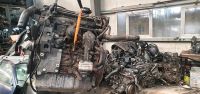 Seat Ibiza VW polo 9N3  motorcode AXK  diesel Bremen - Hemelingen Vorschau