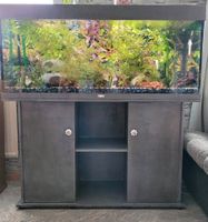 240 L Aquarium mit Unterschrank Sachsen-Anhalt - Halle Vorschau