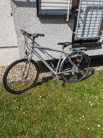 Fahrrad Rad City Bike Hercules Street LX Silber Baden-Württemberg - Karlsruhe Vorschau