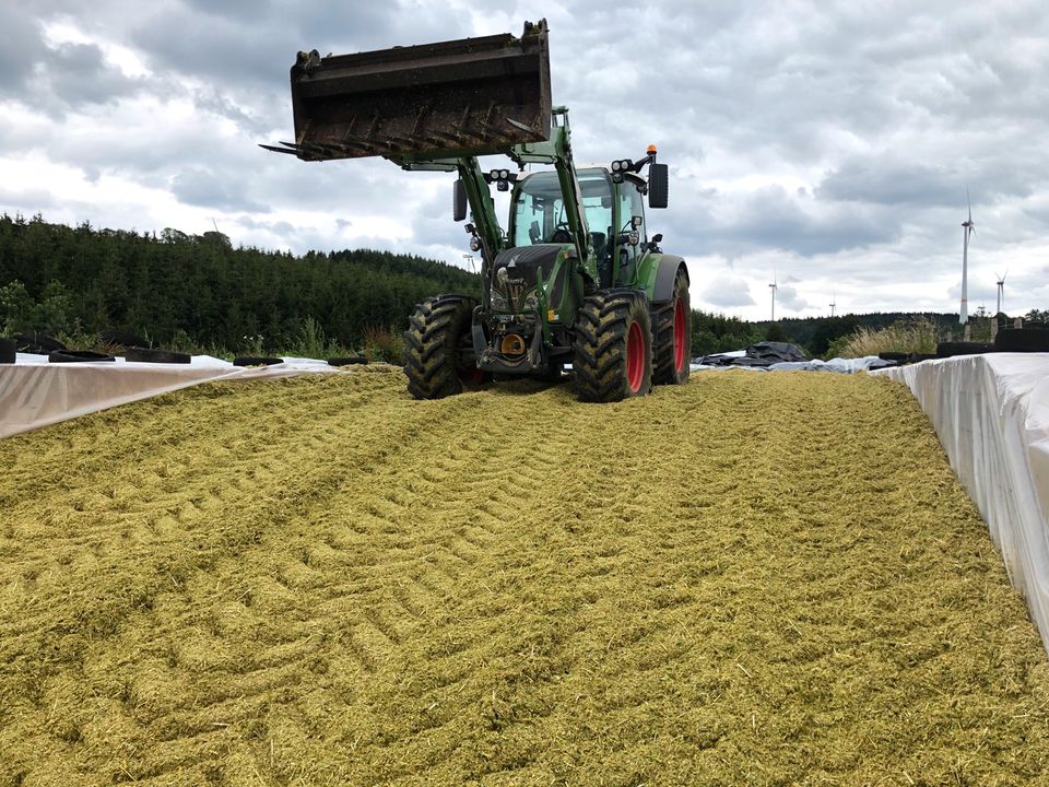 Fendt  516 Vario S4 Profi Plus in Rittersdorf