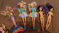 Verschiedene Elfen, Meerjungfrau und Barbie Puppen Wuppertal - Ronsdorf Vorschau