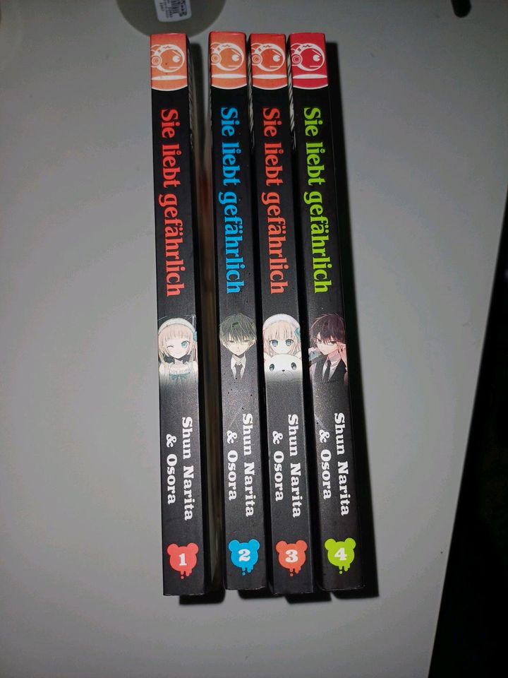 4 Teiliger Manga in Beimerstetten