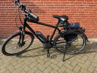 E-Bike Pegasus Niedersachsen - Südbrookmerland Vorschau