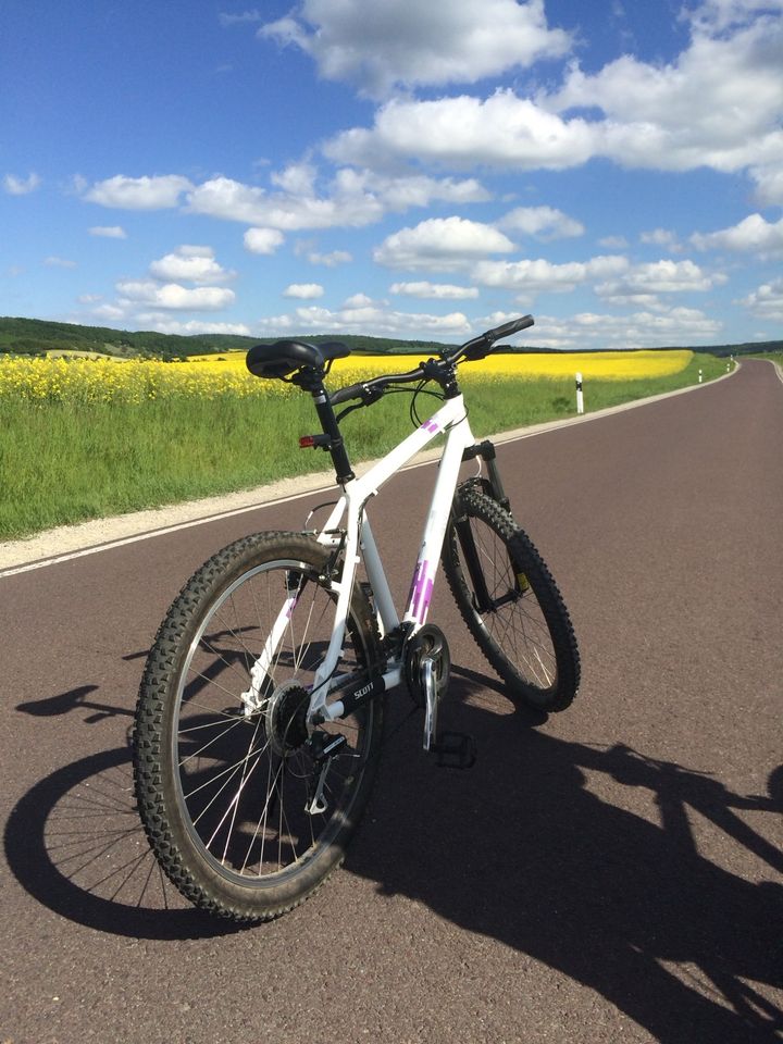 Scott Contessa Fahrrad Damen in Oberheldrungen