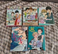 BL Manga Boys Love Shonen Ai Shounen Kaze Egmont Manga Junko Mecklenburg-Strelitz - Landkreis - Blankensee Vorschau