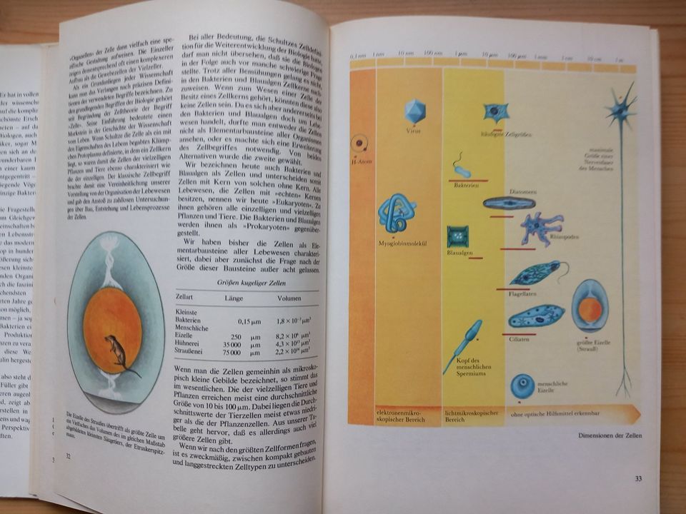 Das Bild der modernen Biologie in Dresden