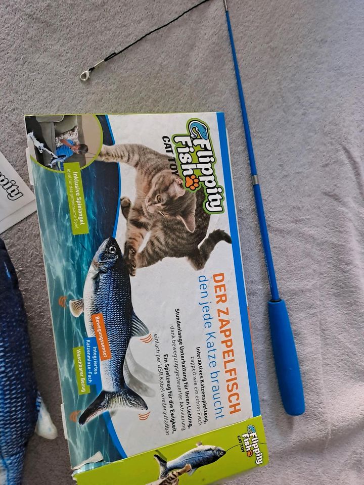 Zappelfisch für Katze in Kaiserslautern