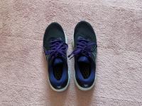 Asics Sportschuhe Damen Thüringen - Jena Vorschau