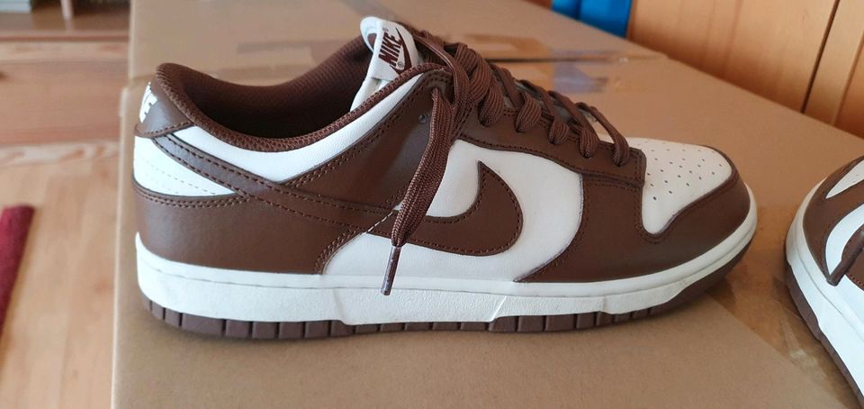 Nike Dunk Low Retro Gr. 43 in Welver