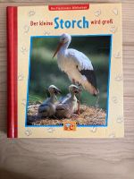 Der kleine Storch wird groß Berlin - Mitte Vorschau