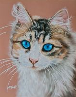 Pastell auf Pastelmat 30x24cm Katze Niedersachsen - Oldenburg Vorschau