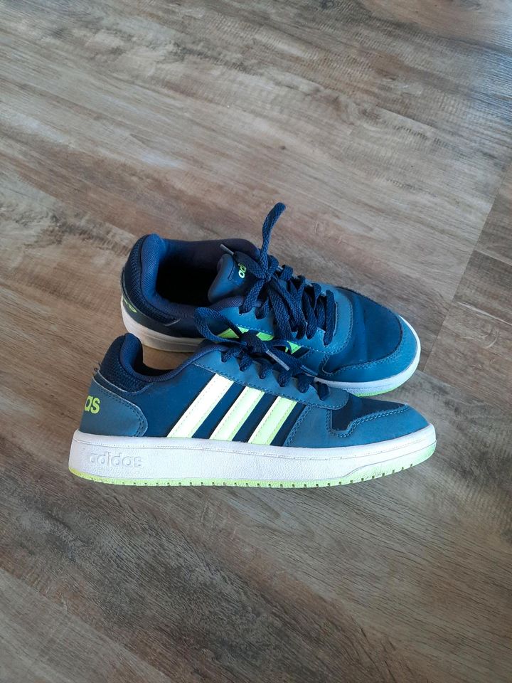 Adidas Sneaker Turnschuh Gr. 38 2/3 in Wyhl