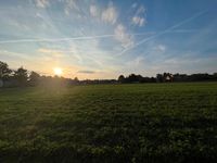 1080 qm Baugrundstück in Brieselanger Toplage Brandenburg - Brieselang Vorschau