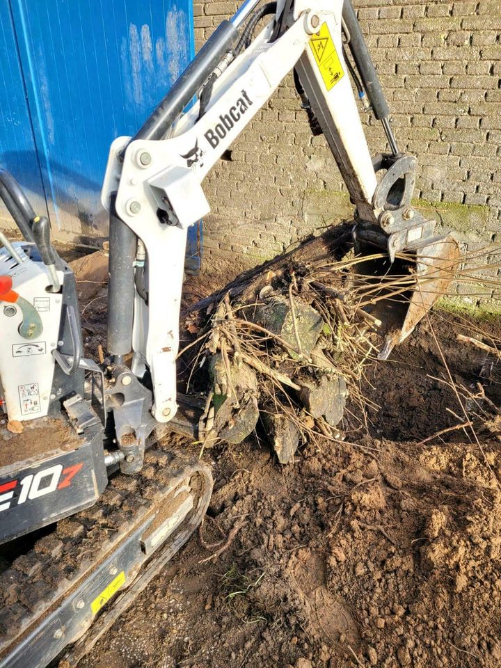 Gartenarbeit Gärtner Hecke schneiden Fläche  roden in Goch