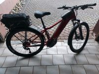 Tempt E+EX S Bike in ca 4 Wochen!!!! Rheinland-Pfalz - Montabaur Vorschau