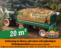 ab 4 m³ bis 35 m³ -  bis 40 Km um Halle Merseburg Petersberg Wettin Kaminholz, Brennholz, Feuerholz, Holzvergaser, Kamin, Holz, Feuer, Brenn Sachsen-Anhalt - Halle Vorschau