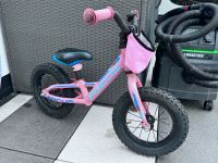 Fahrrad Kinder Focus Rookie Laufrad Leipzig - Eutritzsch Vorschau