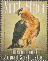 Südafrika 1794° Tiere - Greifvögel Südafrikas - Bartgeier - Fauna Nordrhein-Westfalen - Kamen Vorschau