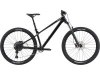 Cannondale Habit HT 3 29" RH S MTB Hardtail/Trail Mountainbike Modell 2024 Bayern - Bad Grönenbach Vorschau