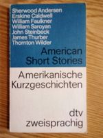 American Short Stories - amerikanische Kurzgeschichten Rheinland-Pfalz - Emmelshausen Vorschau