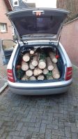 Suche Feuerholz Brennholz Brennmaterial Sturmschäden Baum fällen Nordrhein-Westfalen - Velbert Vorschau