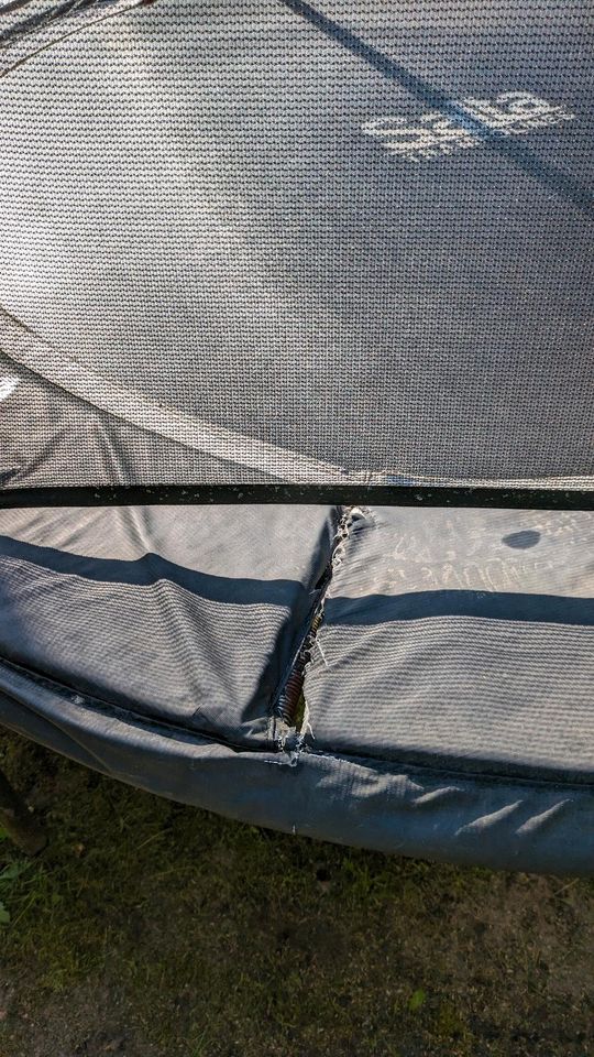 Gebrauchtes Trampolin mit Leiter zu verkaufen in Ibbenbüren