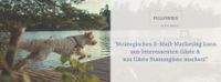 E-Mail & Newsletter-Marketing für Ferienunterkünfte Düsseldorf - Kaiserswerth Vorschau