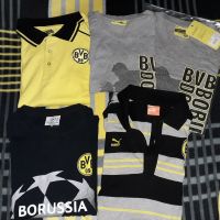 BVB Shirts Poloshirts Puma M 5x Borussia Dortmund komplett für Essen - Essen-Südostviertel Vorschau